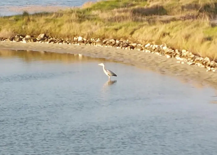 Ramoutier By Interhome Prázdninový dům L'Epine (Vendee)
